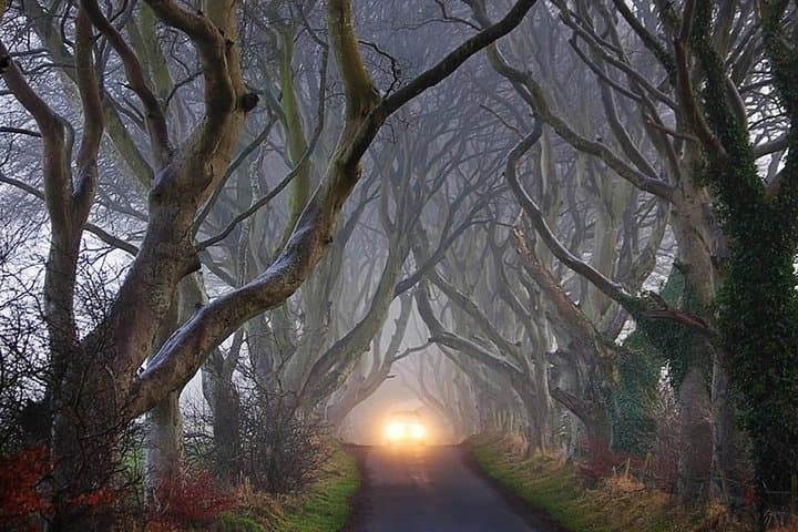 The Dark Hedges