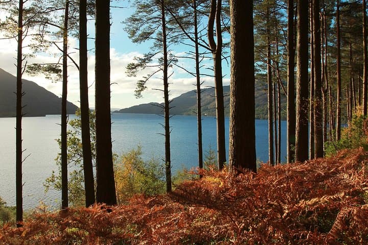 Loch Lomond, Scotland