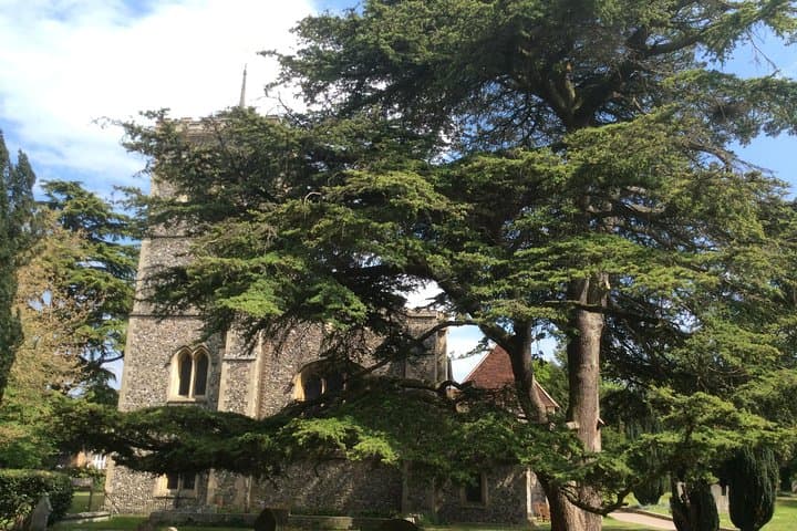 St Michaels Church, built on the Roman Basilica and with many ancient features