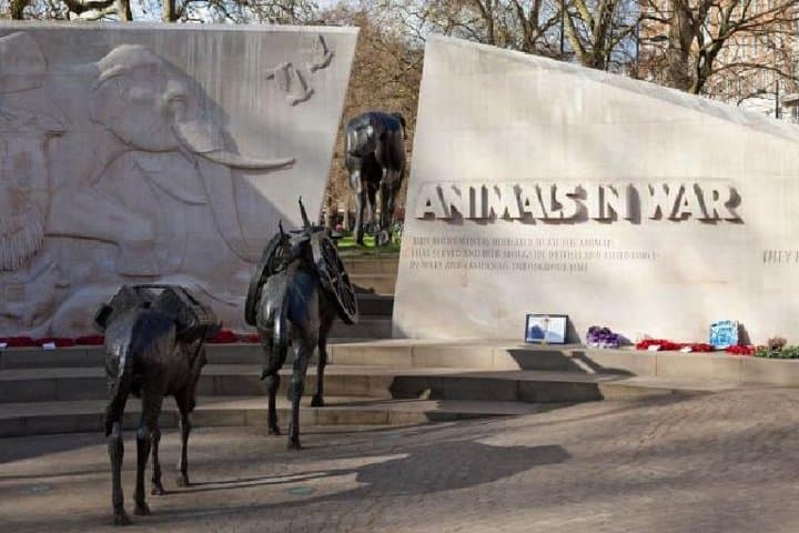Animals in War