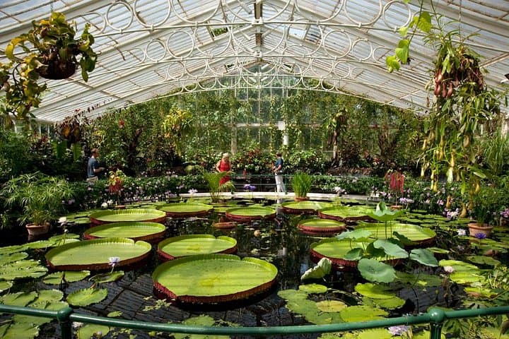 Waterlily House