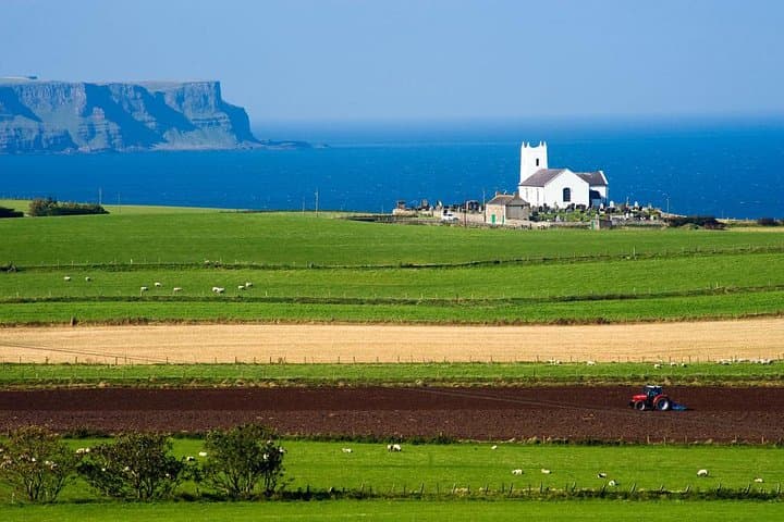 Giant's Causeway Full Day Tour from Belfast