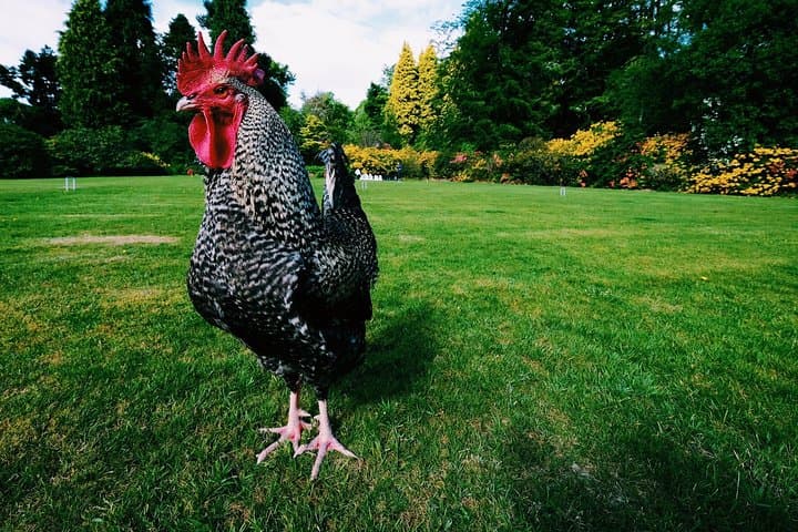 Colin at the Cromlix