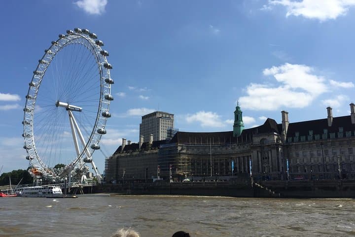 Half Day Private London Tour by Walking and Public Transportation