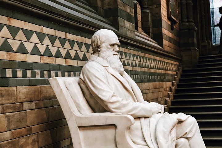 Natural History Museum London - Exclusive Guided Museum Tour