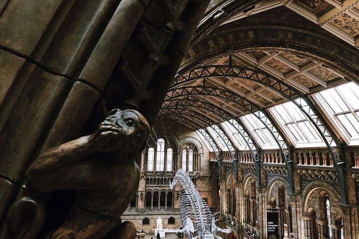 Natural History Museum London Guided Tour Semi-Private 8ppl Max