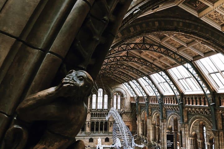 Natural History Museum London - Exclusive Guided Museum Tour