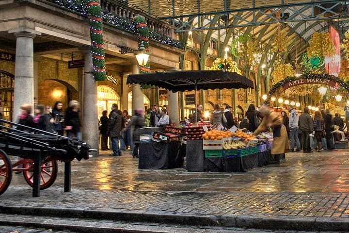 Heathrow Layover: Private Walking Full or Half Day London Tour