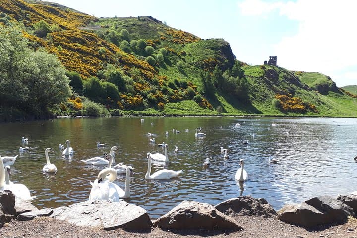 Queen Margarets Loch, Holyrood Park
