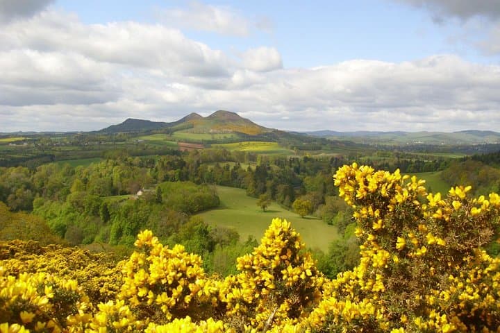 Scott View