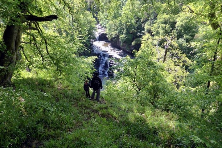 Hike World Heritage Reserve Waterfalls