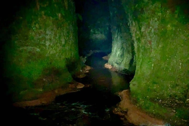 Join the Dark Side of Magical Nature
