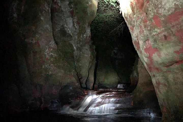 Join the Dark Side of Magical Nature