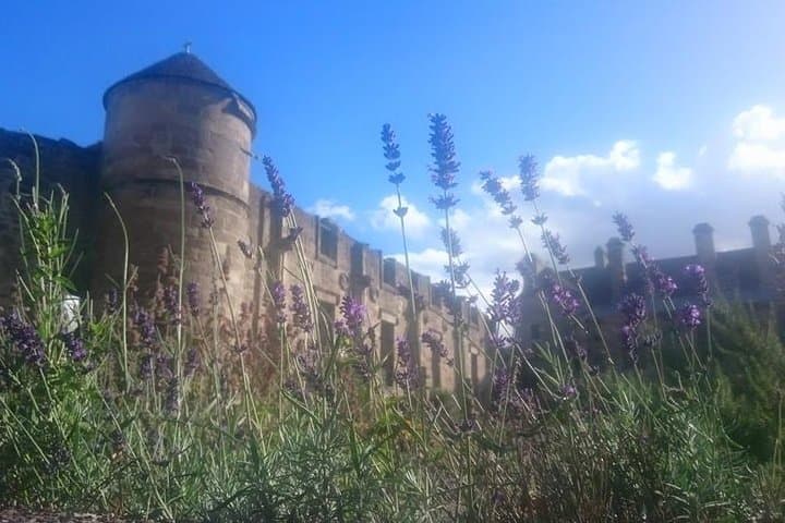 Falkland Palace