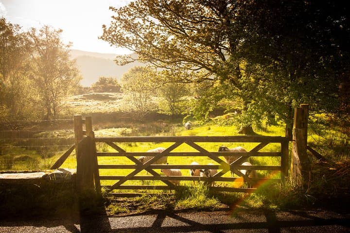 5-Day York, Lake District & Hadrian's Wall Tour from Edinburgh