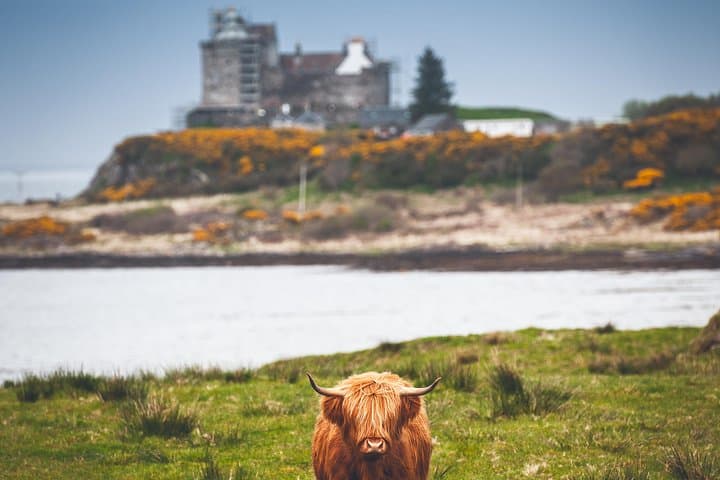 3-Day Isle of Mull and Iona Small-Group Tour from Glasgow
