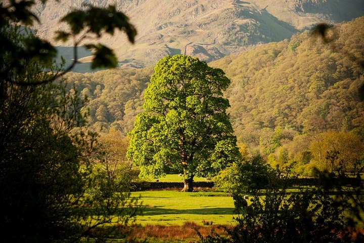3-Day Lake District Explorer Small-Group Tour from Edinburgh
