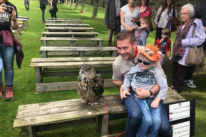 Guests enjoying the falconry display