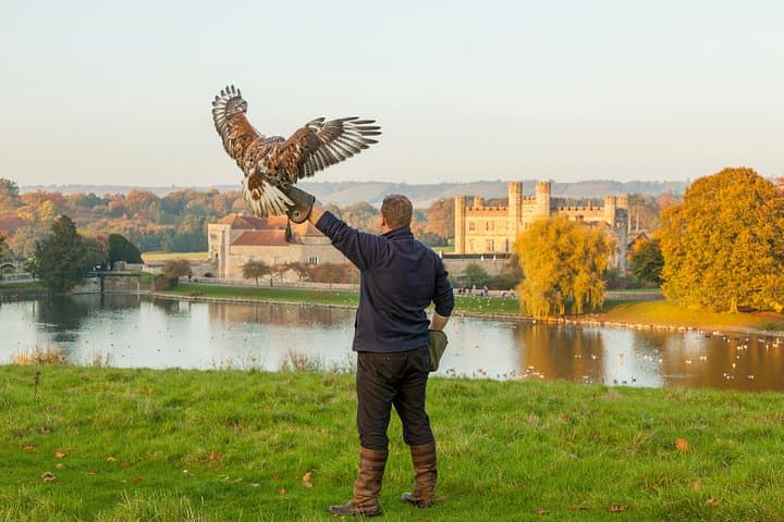 Leeds Castle, Canterbury, Dover & Greenwich Cruise from London