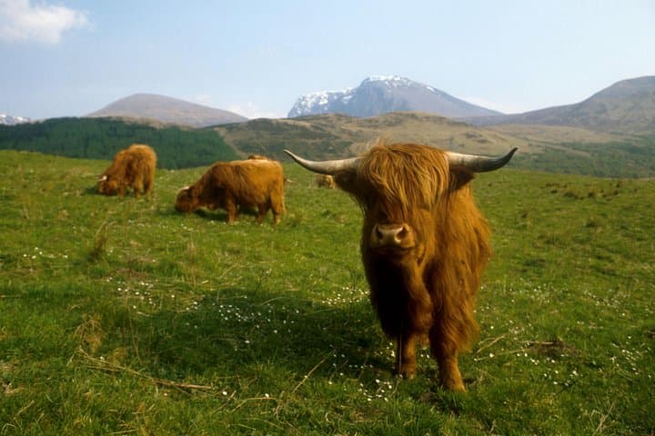 3 Day Isle of Skye, 'Hogwarts Express' Train and Highlands Tour