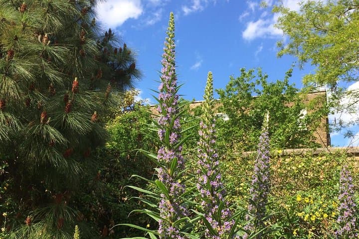 Secret Gardens of London Private Tour