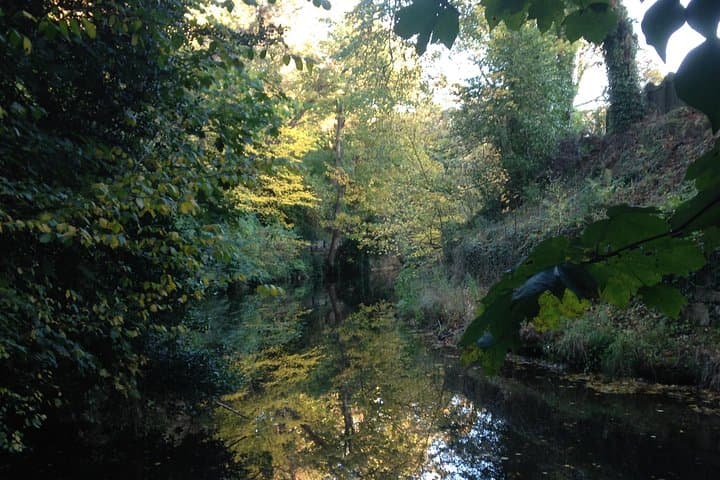 Water of Leith above the Dean Village
