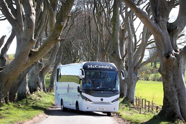 One of our coaches at the Dark Hedges - aka The Kings Road