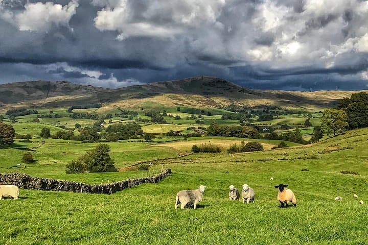 Heart of the Lakes