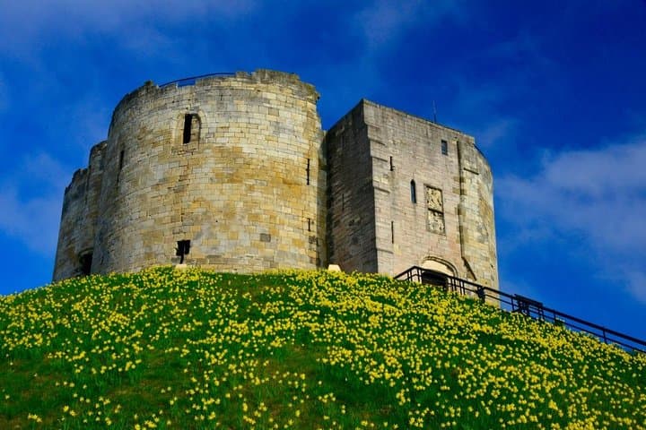 Clifford's Tower in daffodil season