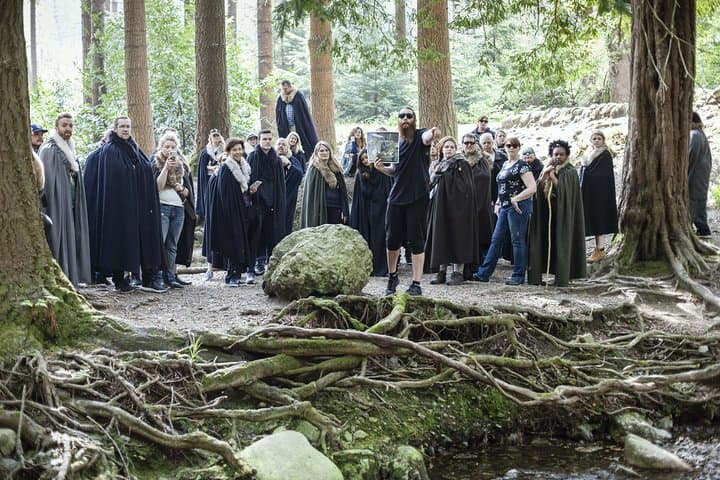 Direwolf pups