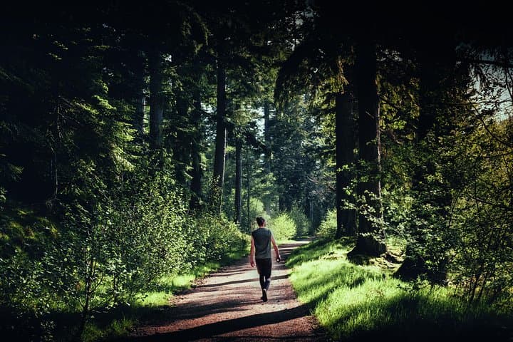 Glen Affric & Culloden Tour from Inverness Including Admissions