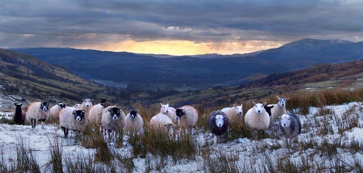 4 hour Private Lake District tour (tour A)