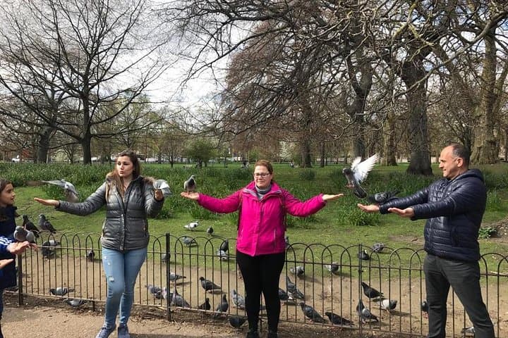 Private Half Day London Tour With Car/Black Cab/MPV/Van/Coach