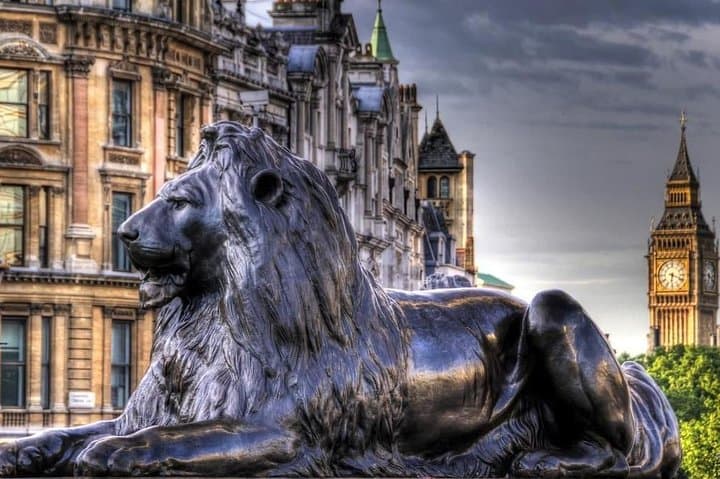 Lion in Trafalgar Square London