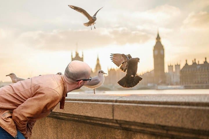 ask for London's wildlife, if you'd like.
WHATEVER YOU WANT