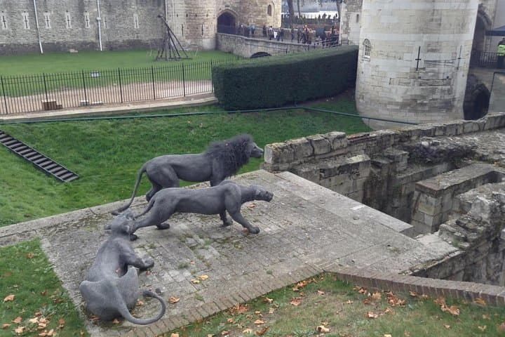 Lions, and many more exotic animals lived in the Tower, find out which ones!
Photo by James Holdstock