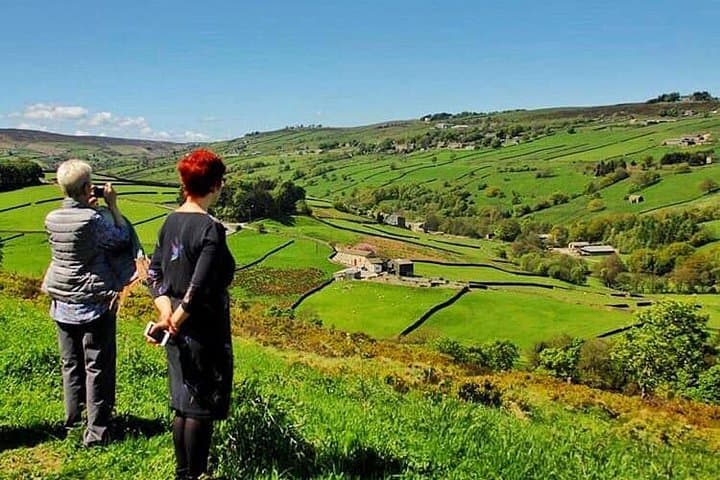 Admiring the View