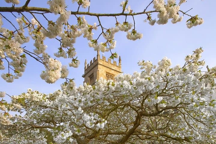 Cotswolds