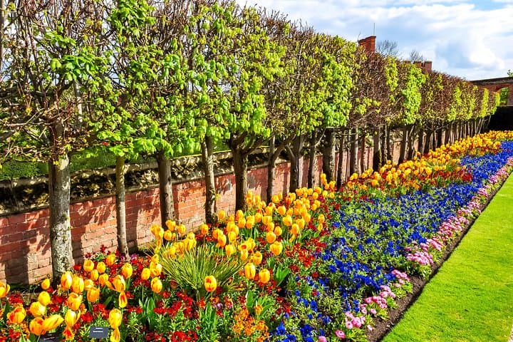 Kid-Friendly Hampton Court Palace Tour in London with Blue Badge Guide