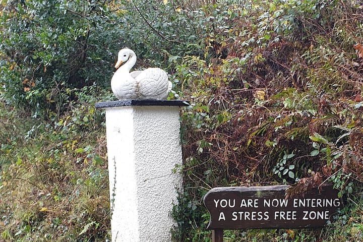 stress free zone available