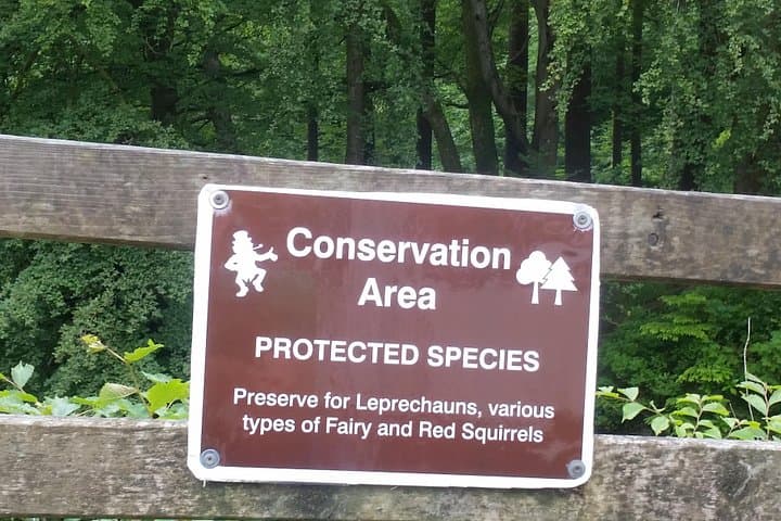 Leprechaun hunting trips