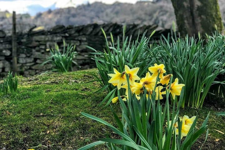 Lake District Adventure Sightseeing Day Tour from Chester