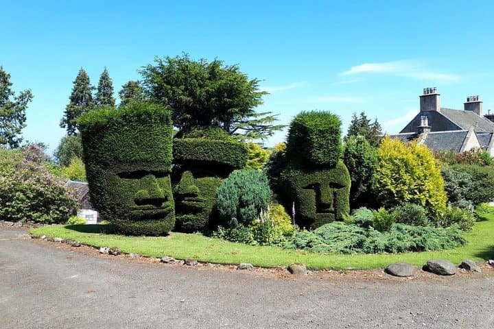 Extreme topiary