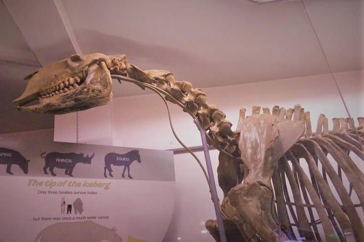 Natural History Museum, London