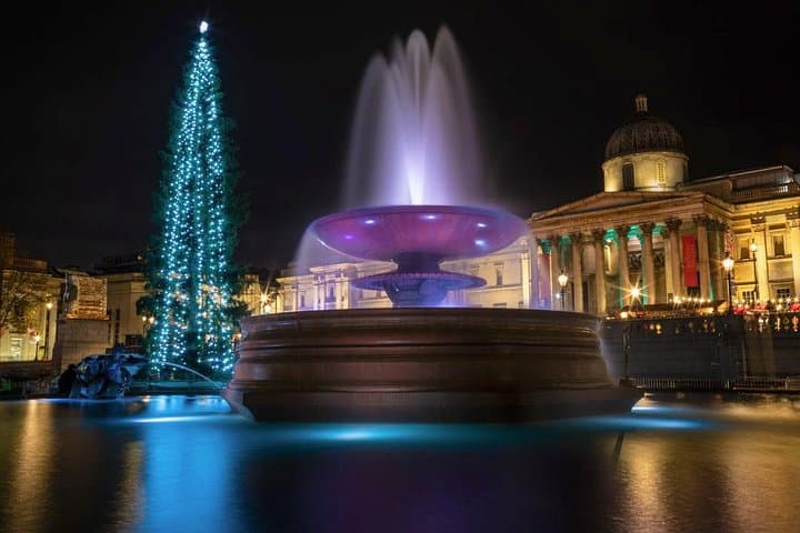 Photograph the Christmas Tree in Trafalgar Square