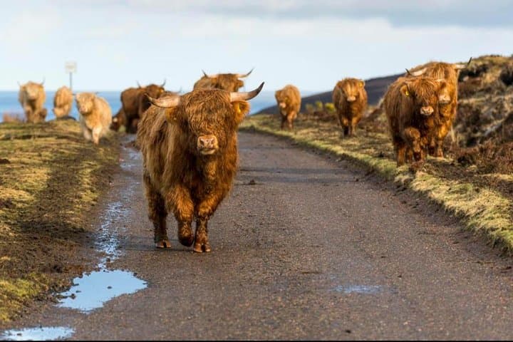 Stirling Private Tour + Whisky Distillery + Lake Lomond