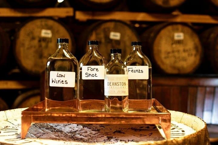 Scottish Gin & Whisky Distillery Experience from Edinburgh