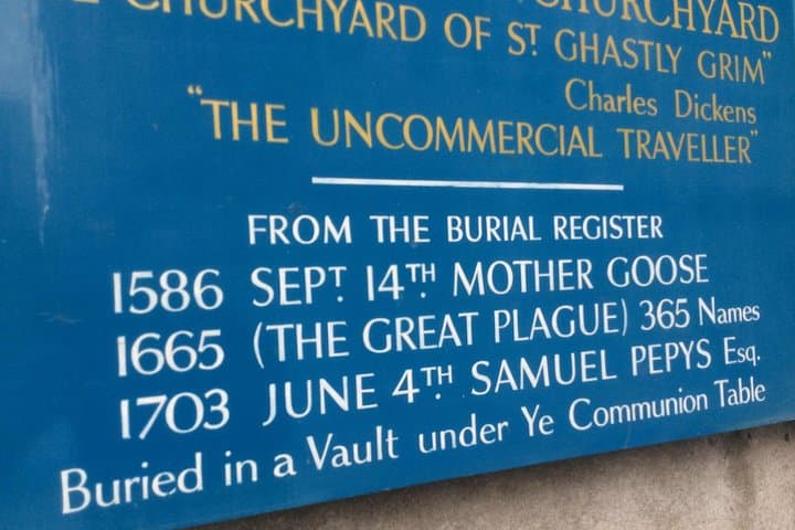 Old Mother Goose