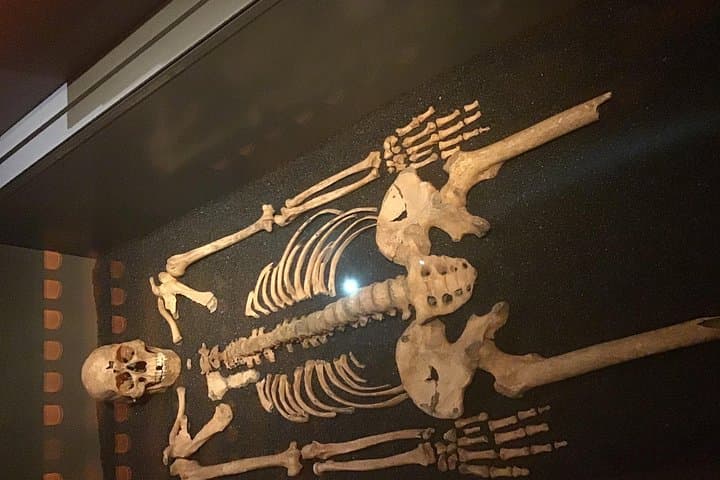 The remains of a Black Death (Plague) victim.