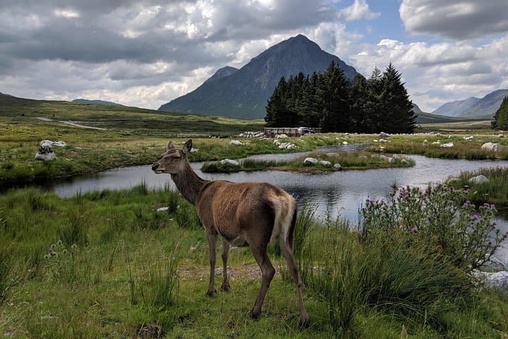 Private One Day Highlands Tour of Scotland